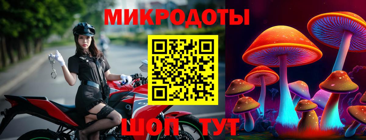 Псилоцибиновые грибы Cubensis Белово